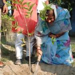 Rajkumari Ratna Singh planting trees.